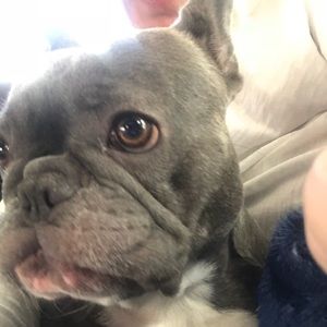 Meet your Posher, Michele